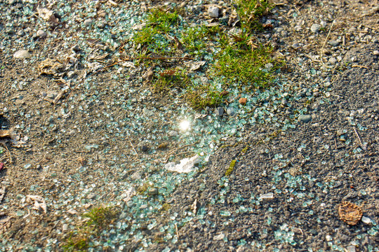 glass crumbs on the ground with grasses