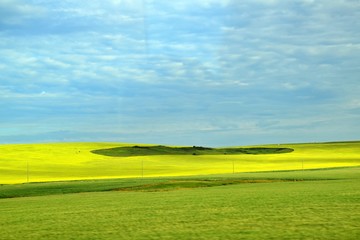 Drumheller , Canada 