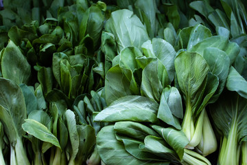 Obraz premium A bunch of bok choy in a supermarket