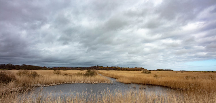 The Coast Guard Cottages Dunwich Heath