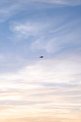 Fototapeta na wymiar plane in the sunset sky 