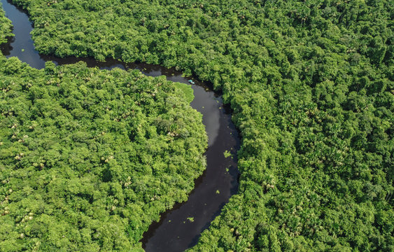 Orinoco Delta - Venezuela