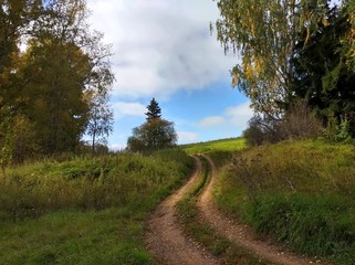 summer road through the forest to the fields on a beautiful Sunny day