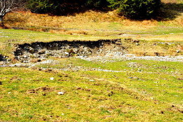 Carpathian mountains. Typical landscape in the forests of Transylvania, Romania. Green landscape in the midsummer, in a sunny day