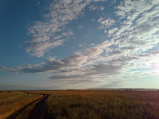 Fototapeta premium a road stretching far to the horizon in a field under the evening sky with beautiful clouds