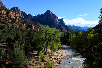 Fototapeta na wymiar Amazing View to the Forest Mountains of Zion National Park, Utah, USA