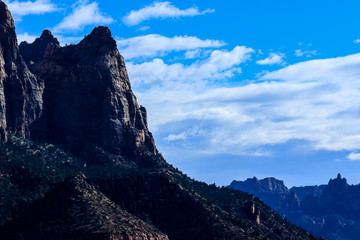 Forest Highway in the Zion National Park, Utah, USA