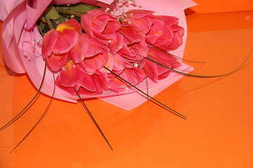 A bouquet of pink tulips with dew drops on an orange background. Wet spring flowers.