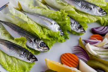 Uncooked horse mackerel fish 