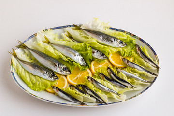 Uncooked horse mackerel fish 