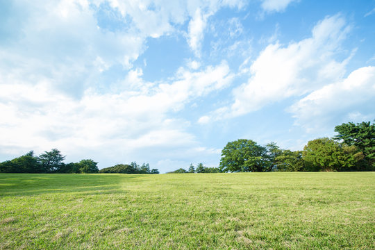 青空を背景にした無人の緑の丘。開放的、爽やか、自然イメージの背景素材