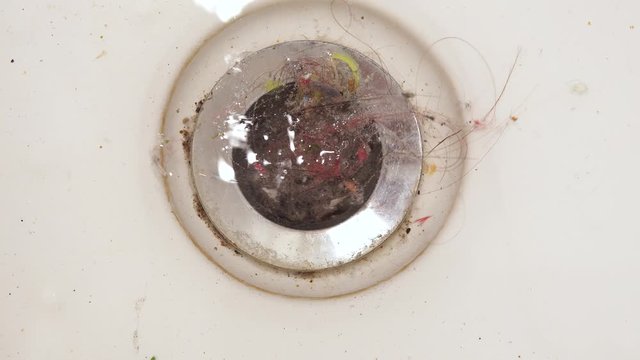Bath clogging concept. Water drain is clogged with hair.