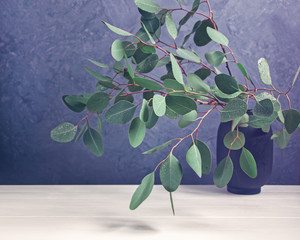 A branch of eucalyptus with fresh round leaves is in a vase. Gray concrete background. Spring background.