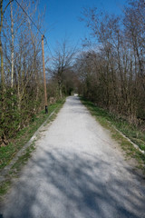 corona the way is empty