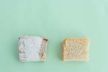 choice between  piece of white bread and  piece of  bread covered with black mold lies on a green background, wrong storage of goods, unhealthy food, space for text