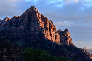 Obraz premium Amazing View to the Forest Mountains of Zion National Park, USA