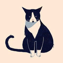 Angry Cat