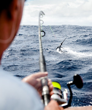 The fisherman and the marlin