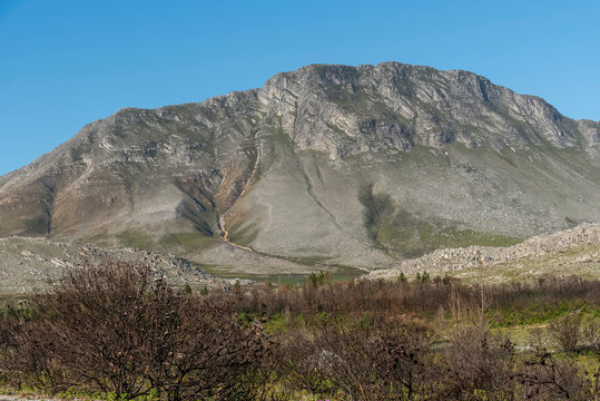Kogelberg, western Cape, South Africa. Dec 2019.  The Hottentots Holland mountains seen from Kogelberg nature reserve near Rooiels, Western Cape.  Foreground of burned Protea shrubs,