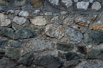 Texture of stone wall made of grey stones