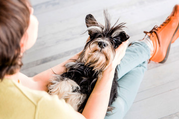 Cropped image of a young woman with a schnauzer dog indoors. Women are sitting on the floor with a...