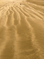 ripples in the sand