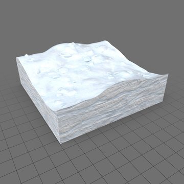 Snow cross section 2