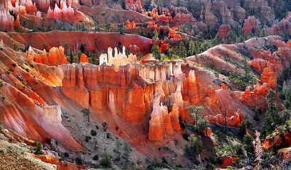 Bryce Canyon National Park Utah unique hoodoos at sunrise USA