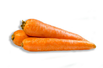Fresh carrot on a white background