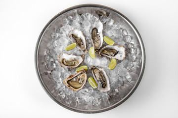 Fresh oysters on ice in a metal tray. Banquet festive dishes. Gourmet restaurant menu. White background.