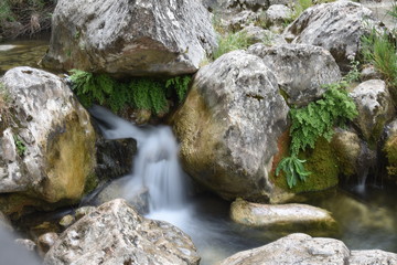 Cascada parue Natural