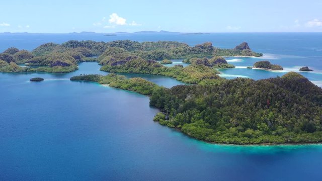 A collection of rock islands is found in Raja Ampat's beautiful seascape. This area in Indonesia is known to be the heart of marine biodiversity and is a popular destination for divers and snorkelers.