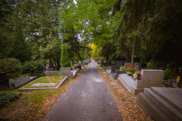 tombs and graves alley at the cemetery during All Saints Day