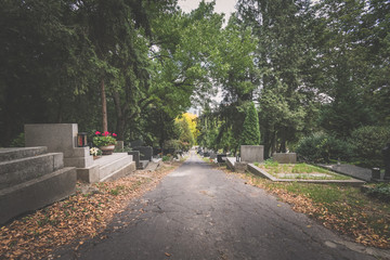 path among tombs and graves at the cemetery during All Saints Day