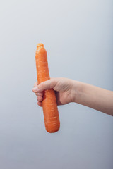 Hand holding isolated carrot in white background. Vertical view.