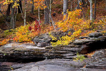 Autumn color along the exposed shale riverbed of the Presque Isle River in the Porcupine Mountains Wilderness State Park, Michigan.