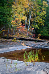Autumn color along the exposed shale riverbed of the Presque Isle River in the Porcupine Mountains Wilderness State Park, Michigan.