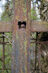 Old Rusted Steel Fence Post with Hole 