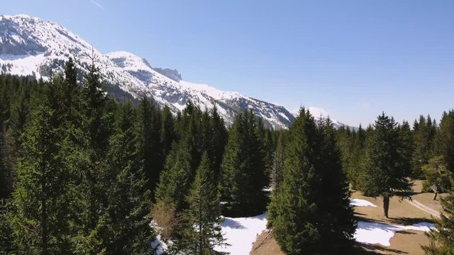 Spring mountain & forest - Vercors (FR) - 3 - drone