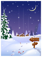 Night country scene with distant houses, wooden arrows sign and fir-tree. Winter night illustration. Christmas Eve concept. For websites, posters or banners.