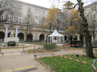 lione