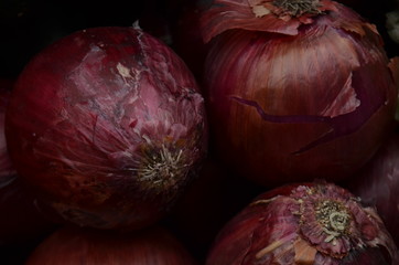 Cebollas moradas purple onions