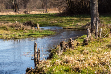 Dolina Górnej Narwi. Rzeka Mieńka. Wiosna na Podlasiu. Polska © podlaski49