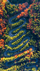 Winding road in Carpathian Mountains, Romania