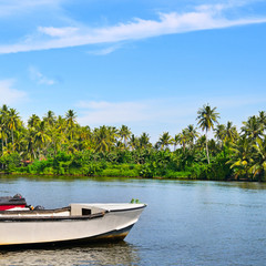 Naklejka na ściany i meble Picturesque tropical landscape. Lake, coconut palms and mangroves.
