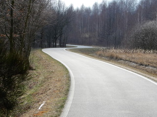 road in the forest