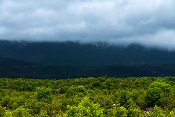 Fototapeta premium mountain