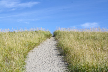 Path of Sand to the Ocean