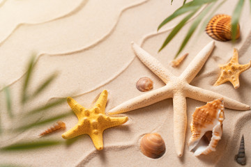 Fototapeta na wymiar soft focus Flat lay top view copy space, Minimal exotic concept. Creative layout of sand waves. Summer beach background with shell, sea star and blurred Palm, vacation and travel concept