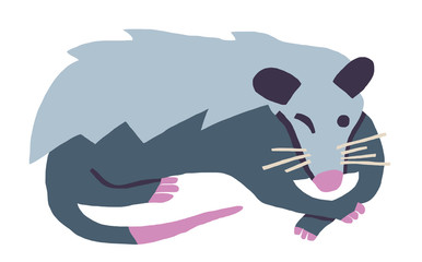 Illustration of Oppossum